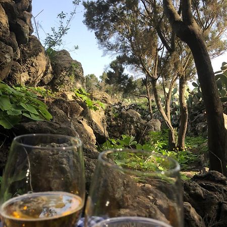 בית הארחה ואלוורדה 	Casas Del Monte II מראה חיצוני תמונה