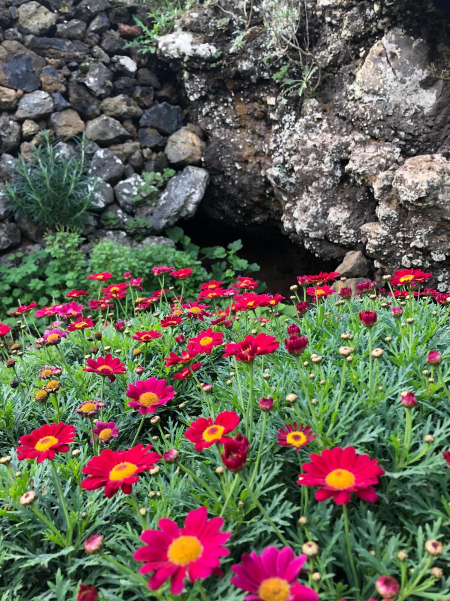 בית הארחה ואלוורדה 	Casas Del Monte II מראה חיצוני תמונה